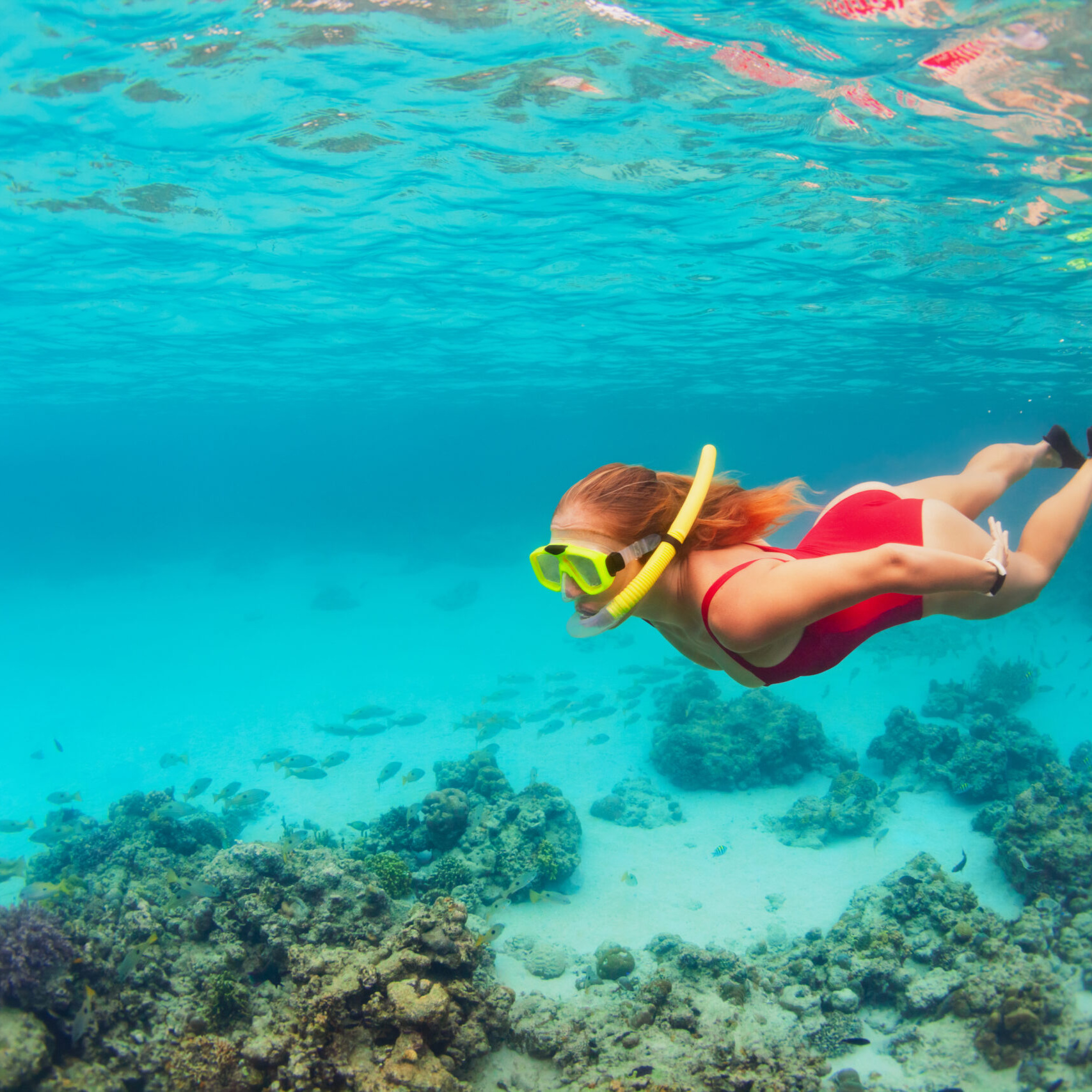 Scuba and snorkel activities Taveuni Fiji