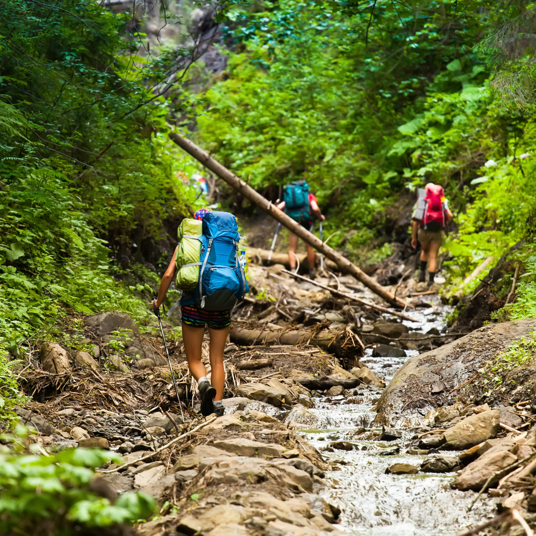 Hiking activities Taveuni Fiji