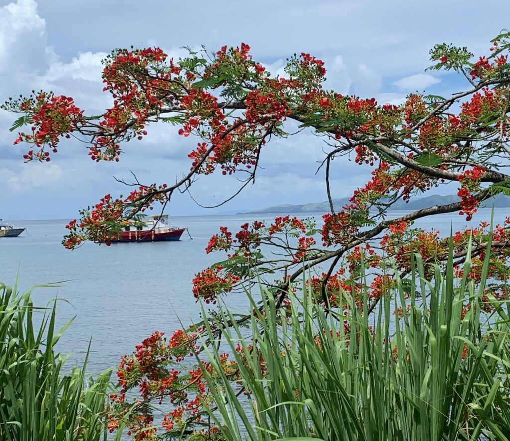 dive group accommodation Taveuni Fiji