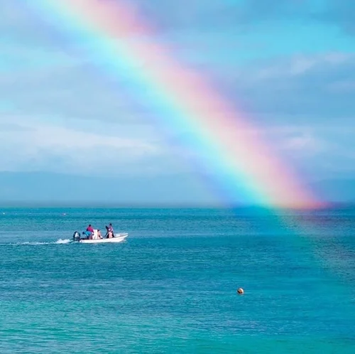 dive groups Taveuni