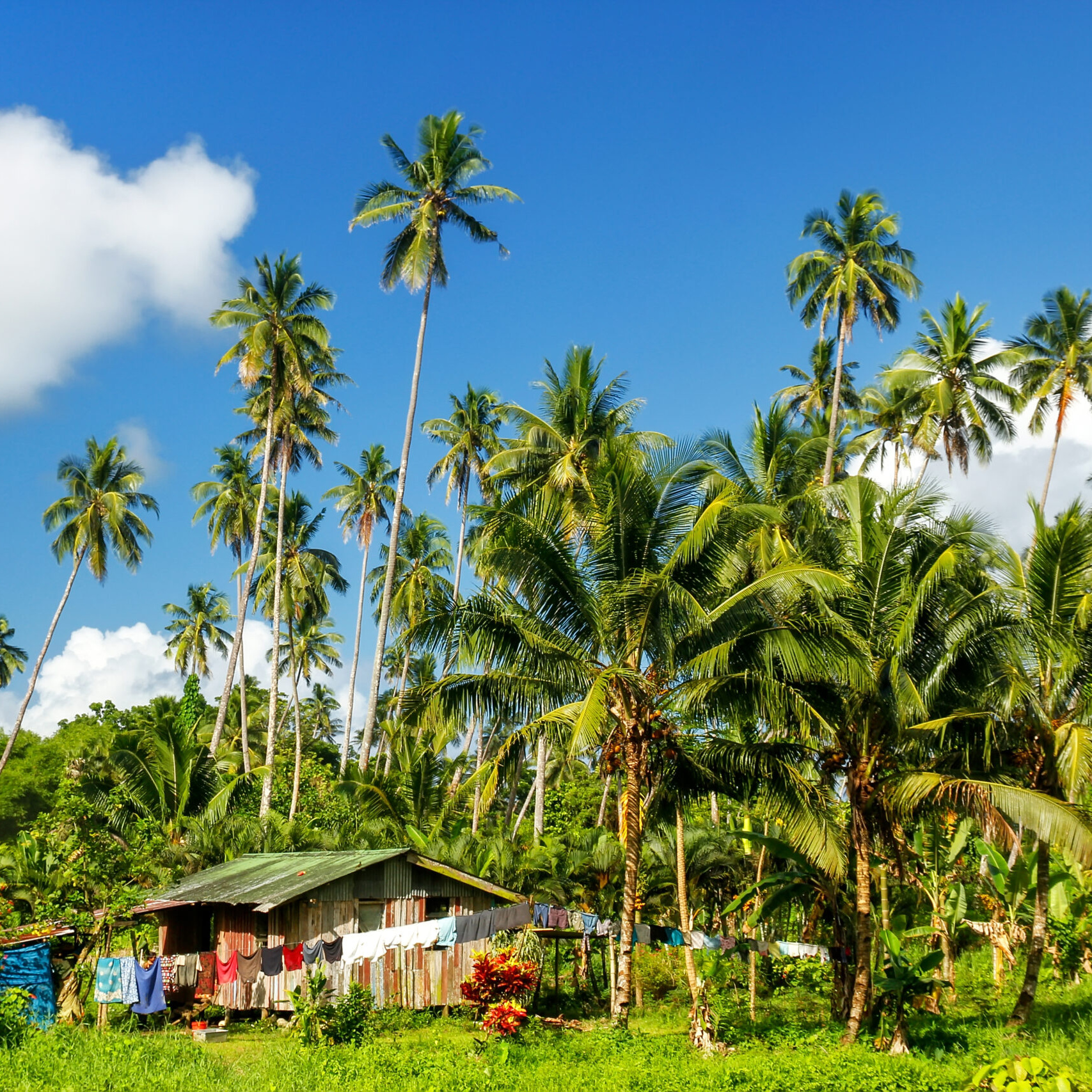 taveuni 3